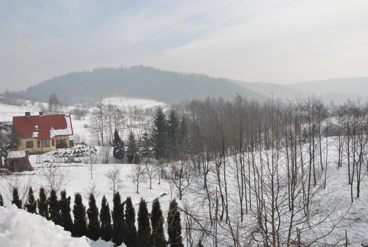 Villa Zagornik *